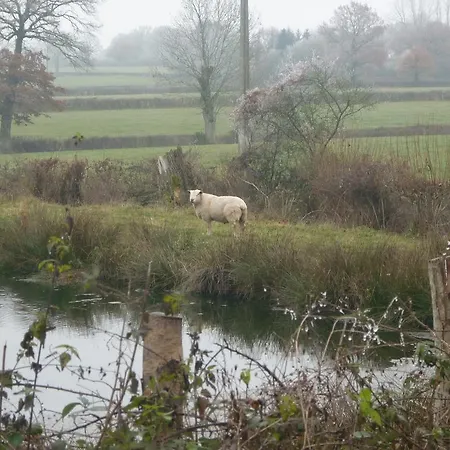 Chante-cristal Tatil Evi *