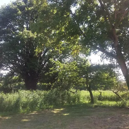 Chante-cristal Target