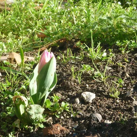 Casa vacanze Chante-cristal Target