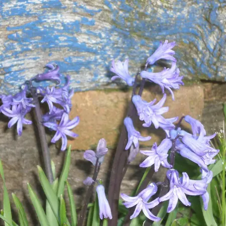 Tatil Evi Chante-cristal *