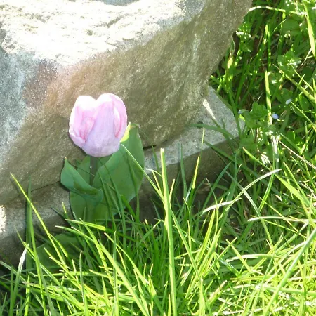 Chante-cristal * Target